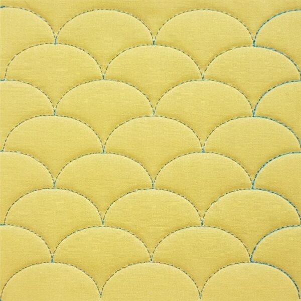 Westalee Design Squat Oval Clamshells (SOC 1,2) - Image 3