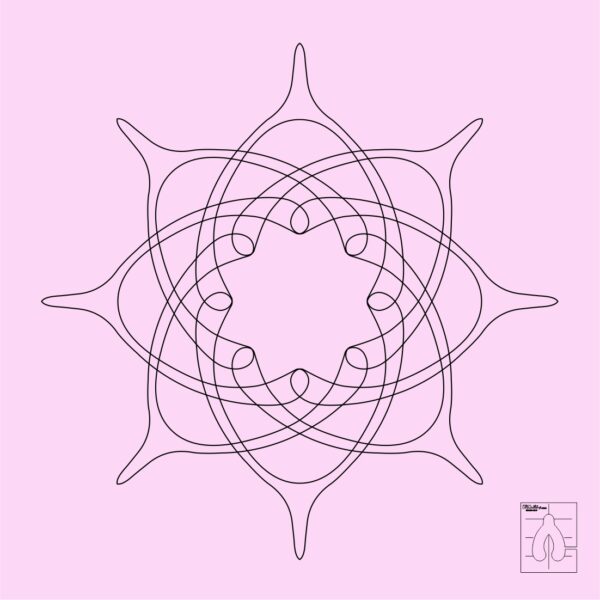 DM Quilting - Wish Bone Templates - Image 5