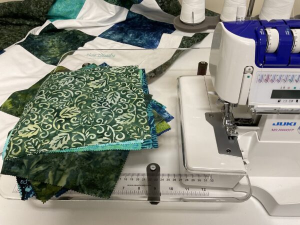 SERGER BIG BLOCK QUILT PROJECT WITH DONELLE MCADAMS - Image 2