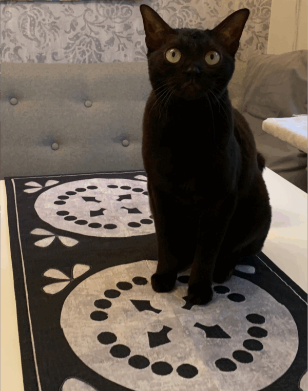 Mio Mjau Table Runner By Nanne Panne - Image 3
