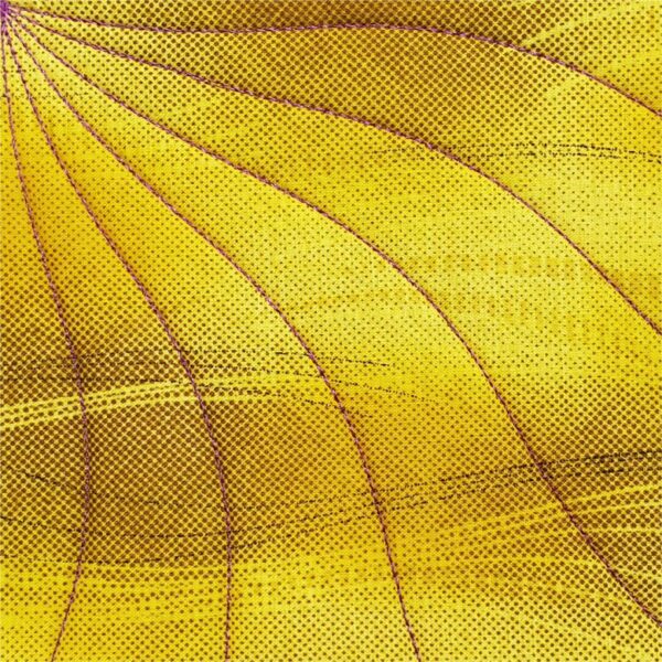 Westalee Design Spinning Waves Template #5 - Image 4