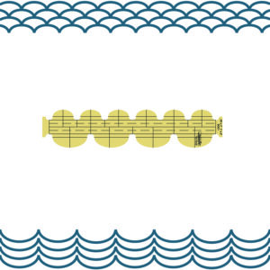 Westalee Design Squat Oval Clamshells (SOC 1,2)