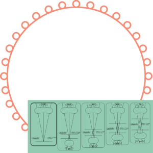 Westalee Design Strand of Pearls 1/2" Templates: Jewel Series