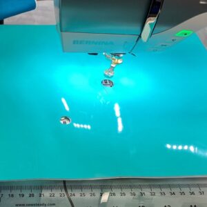 Sew Steady Stitch Regulator Glider